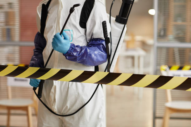 Professional Odor Removal technician working in Utica, IN